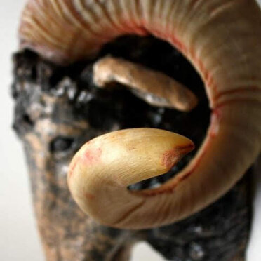 ee64c773-82fb-4322-8ff5-560f7fbe805d