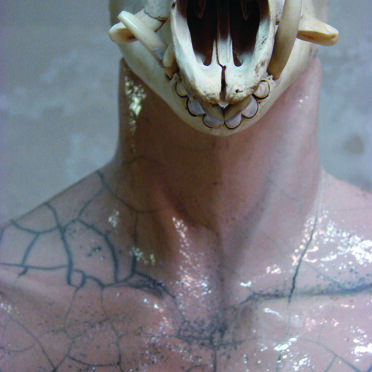 51bf520e-8c2f-4bce-b492-3937aecc021a