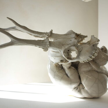 a7e28c48-e9c9-4306-aac4-328290863cb5