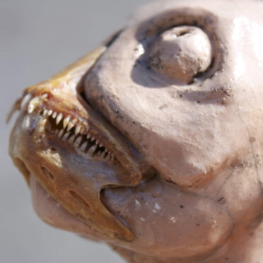 184e2bce-0ec0-4226-9f6f-dbf2dac2dc46