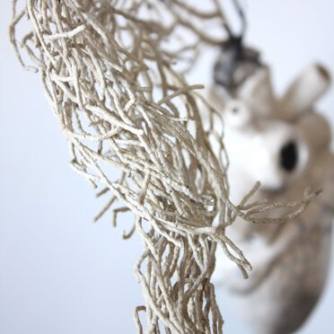 9bf022db-d90a-470b-9990-f0756bf8f4f2