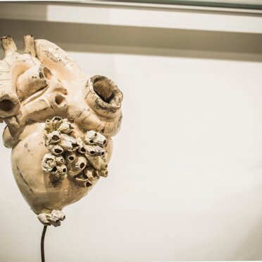 73d365e7-90c2-41ac-8def-b319eb8ed1fe