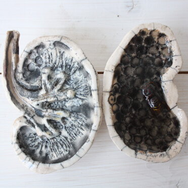 1018eaf9-5aff-4f5a-ae97-4fcae22282db