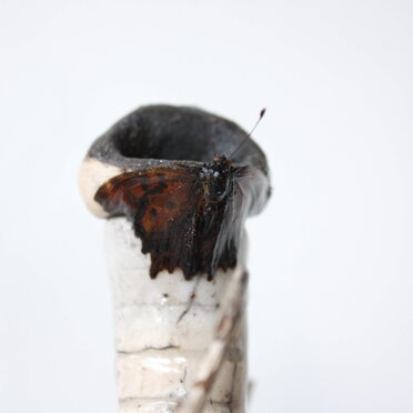 b69a31fc-766b-425f-8908-05d969ba4a93