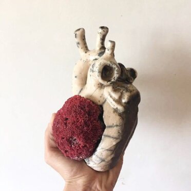 830d07dd-6228-4c5b-b592-e772cc87558e