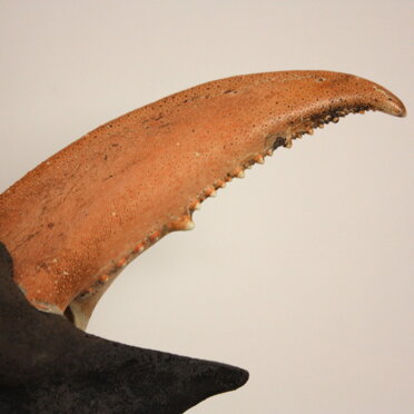 dc0b6029-de08-4637-8a3d-05dba1ec0c16