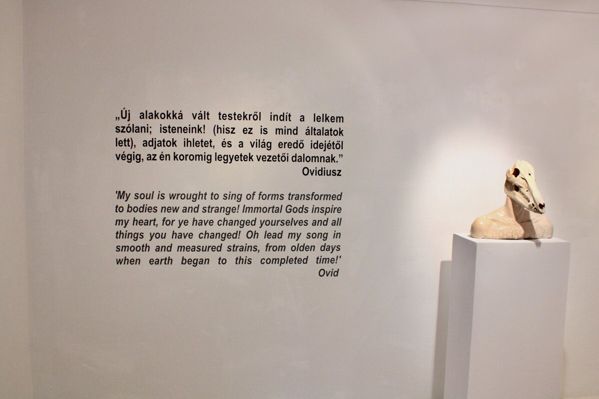 eyJlbiI6IlZhcmZvayBHYWxsZXJ5LCBCdWRhcGVzdCJ9