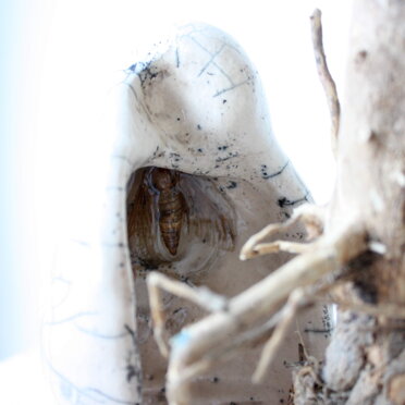 db62717e-f21b-4e4a-86da-fd121c35157c