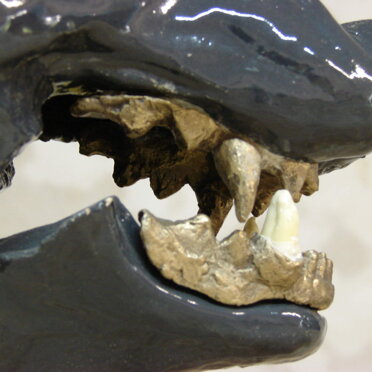 df5779f6-ab7c-4c61-abfa-c5b0e46bcea7