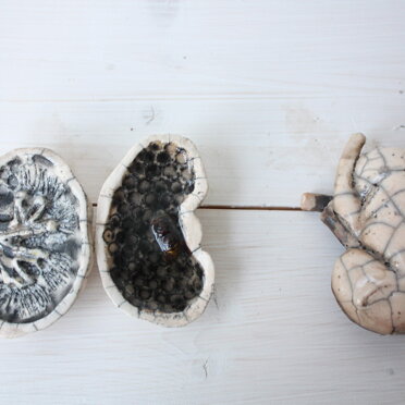 1a523cba-0bae-45c8-bb2d-3390f5bd1b80