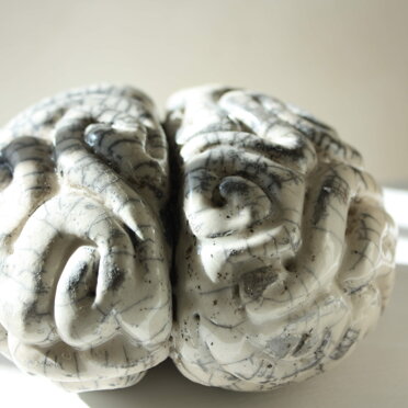 2c0068cc-b122-4dcb-9ed1-016364e169a8