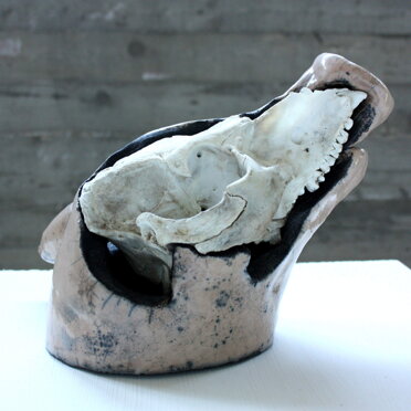 32115264-8b0f-450c-935e-ae9b15e52efb