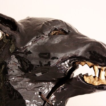 2b8b6d43-54ec-40a9-aac4-4d72f8f05256