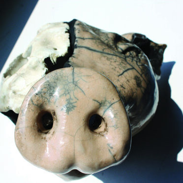 d6f7e773-4acc-4543-aa9b-0e747bd3b847