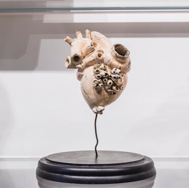 1ac7cd31-918d-4bbc-8e49-59ed1b2e1b6a