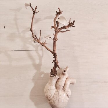 20012a3c-146f-4962-b05a-fc9e12647167