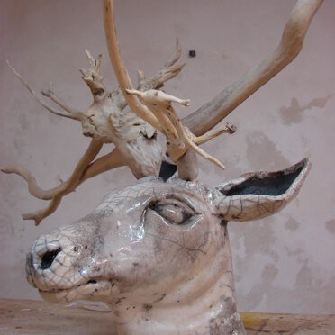 46d33afb-49b9-4f5e-a727-fec239614246