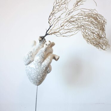 38f466d5-6d09-4f2d-b1ec-05729c94bd8f