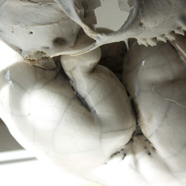 aefd2a8a-afbf-4aef-85f2-24d3a2edaf84