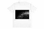t-shirt-31