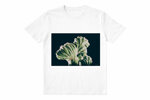 t-shirt-27