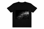 t-shirt-31