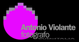 newlogoscoa2abinv2