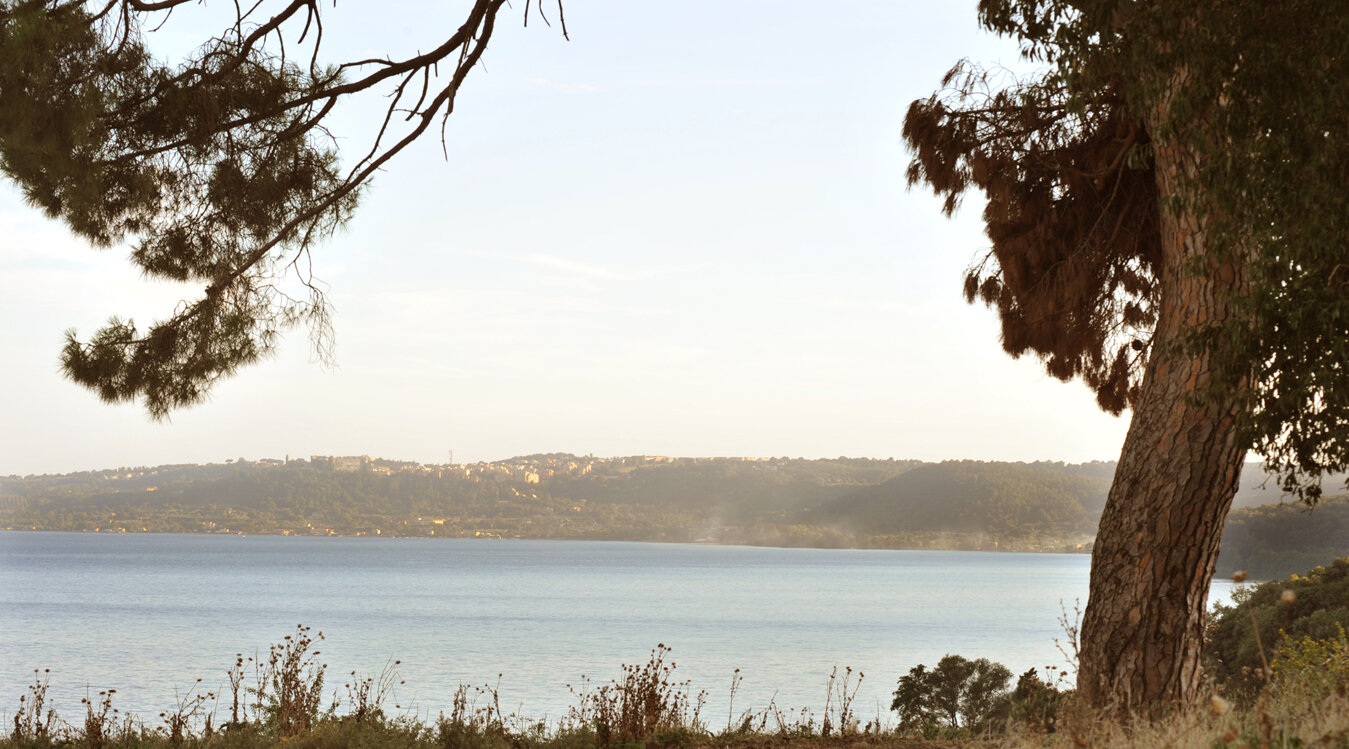 ba839b4d-5782-476c-b5c5-4d518f349574