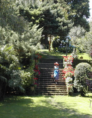 The garden