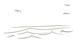 salt zimmer salt zimmer