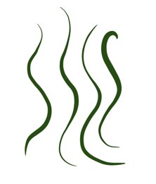 4e23f547-0c1b-44a7-a4ae-89b674940182