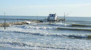 image00005.jpeg image00005.jpeg