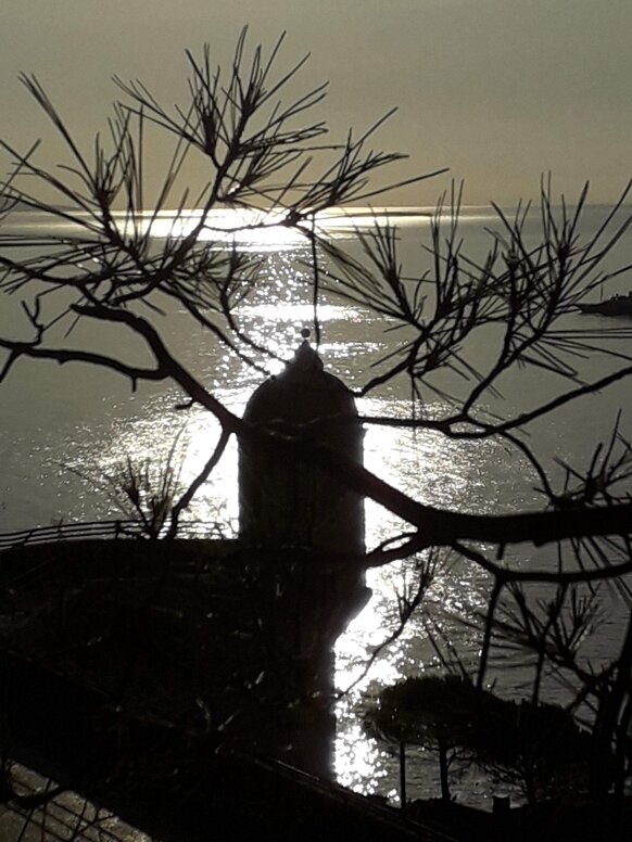 f5471017-b360-4fe2-8f17-5f01fd143f6d