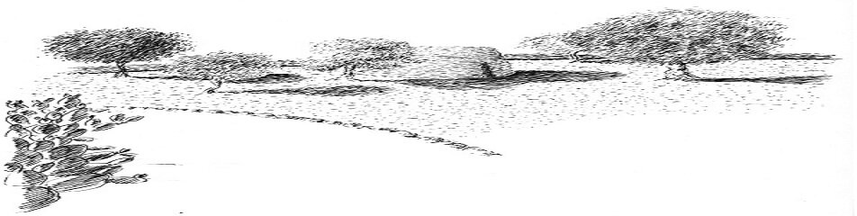 8c0ac6dc-b395-47b1-bfce-3c6ea81b42e5