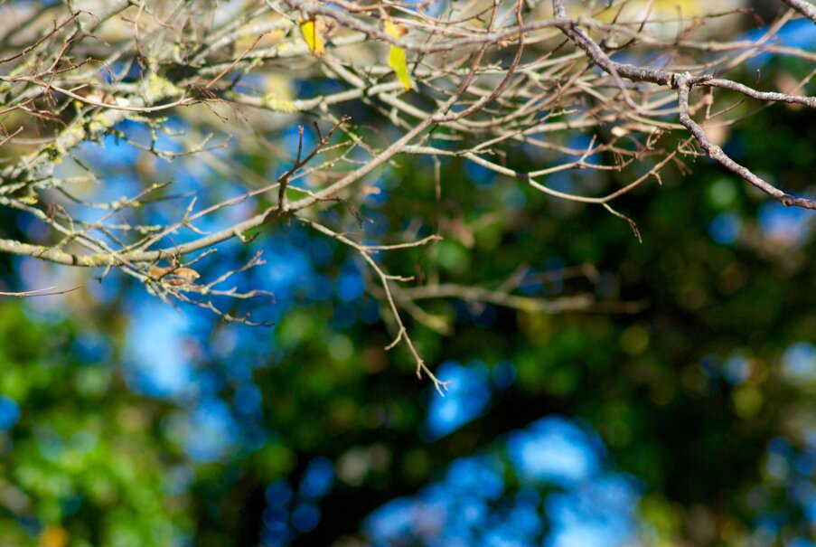 2eddde94-1924-40be-a1b7-d1cc42c0b8ff 2eddde94-1924-40be-a1b7-d1cc42c0b8ff