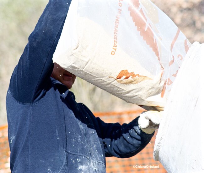 6e13736a-fec2-4339-b80e-008bbbd0c5cf