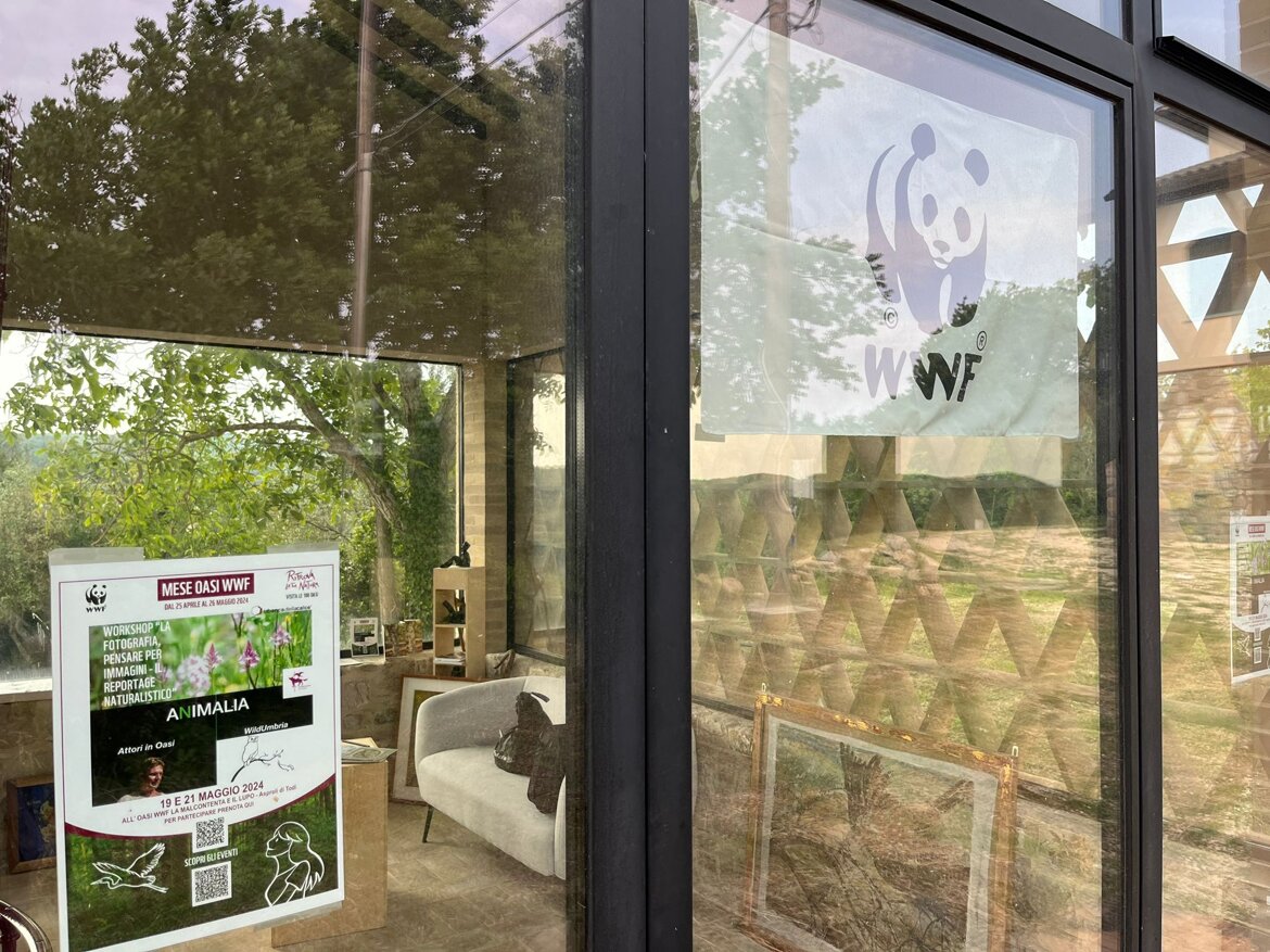 2ca8d8cd-f015-4063-9871-59305c6feaae