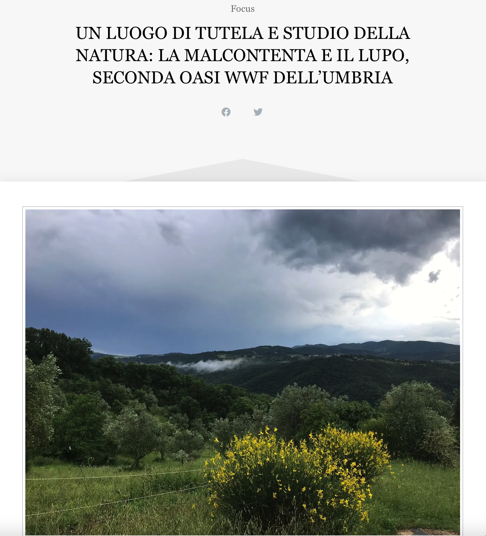 Articolo su VivoUmbria