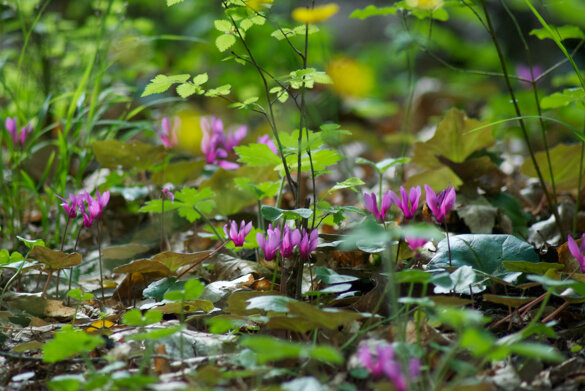 ff03e59e-6606-4c73-a32e-5dd7efe49811