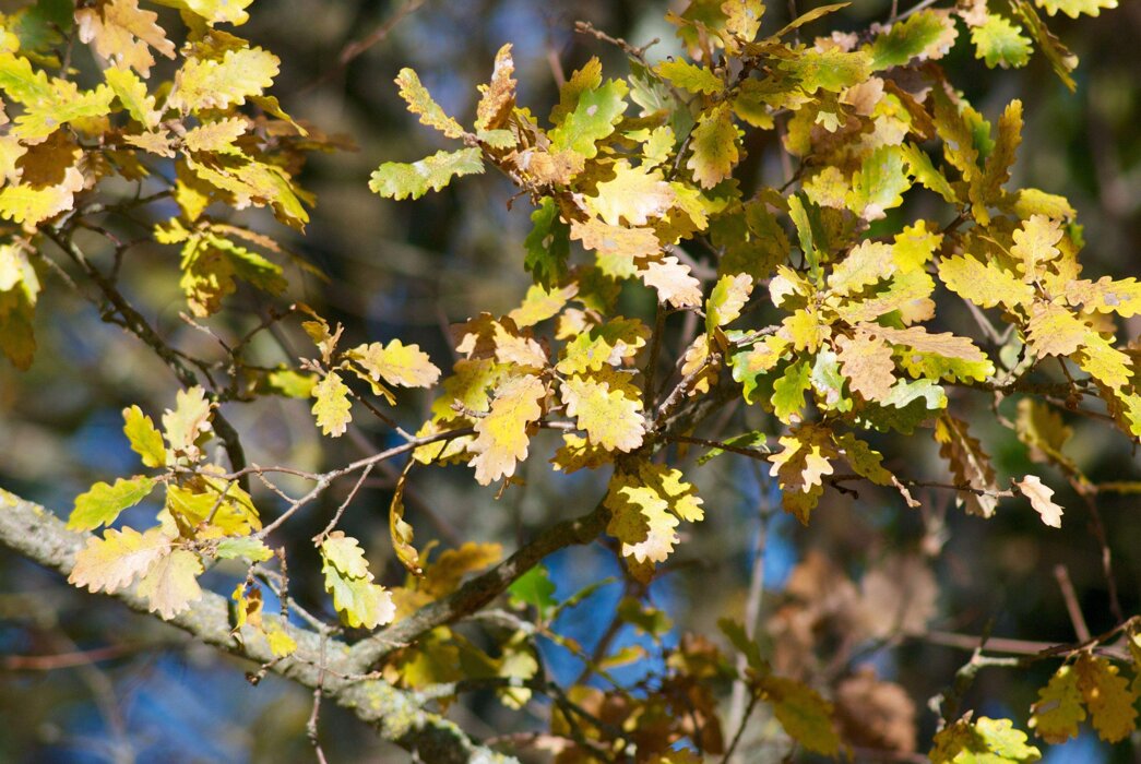 d20b9770-2cac-4ba4-bf24-a23216cb10cd