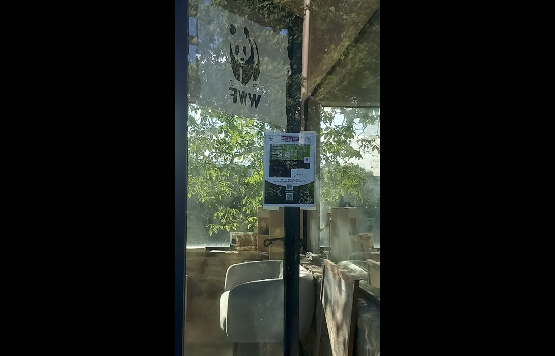 4ecc909a-e23f-4a59-a6bf-a2d872b9ce91