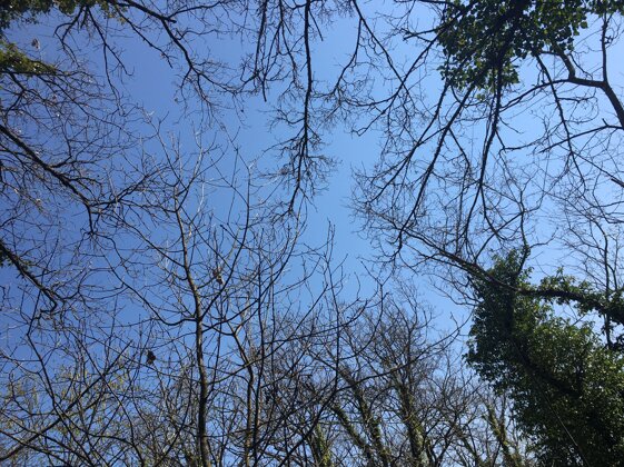 1d0058aa-75a0-4ea3-af65-db24497e2af6