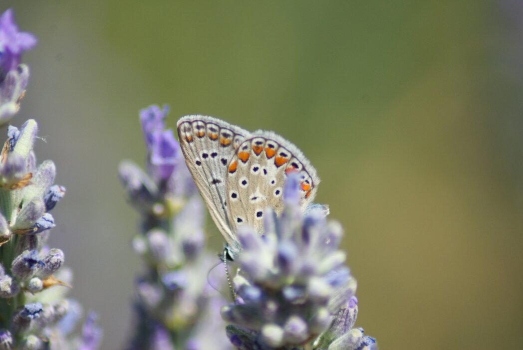 406e92f4-b8d3-4221-aa24-58585e13d3b1