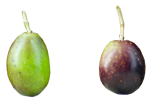 e0ff24ae-e2fe-4ab9-b5f4-2c9dd66db98b