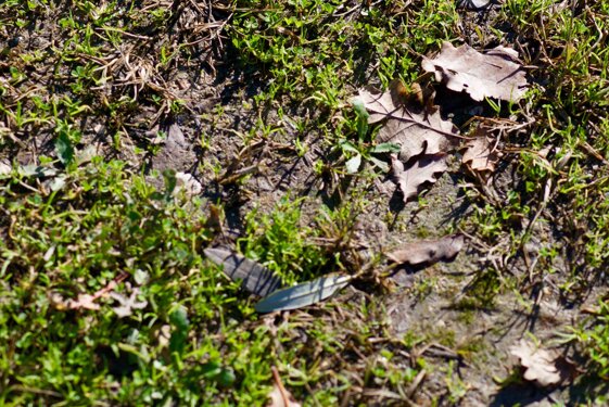 737738e5-3c0c-4918-a1d9-453fa3adcab7