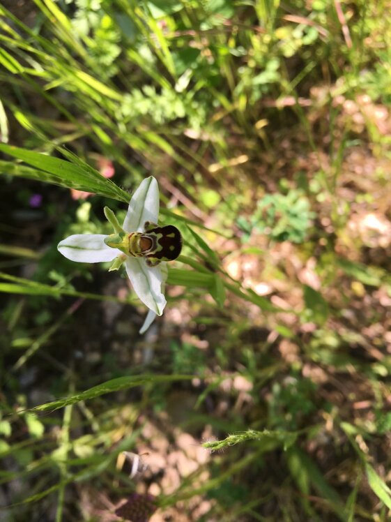 5248600b-8dfd-4424-a45e-7f5f9c9aa974