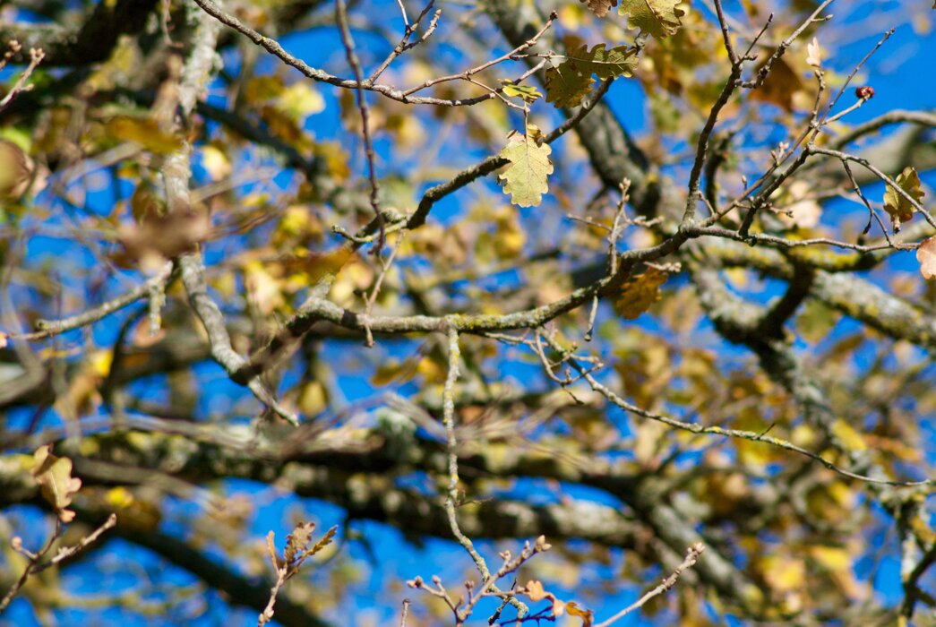 5c1d5235-e5b6-4abf-ac49-fe1a939336fb