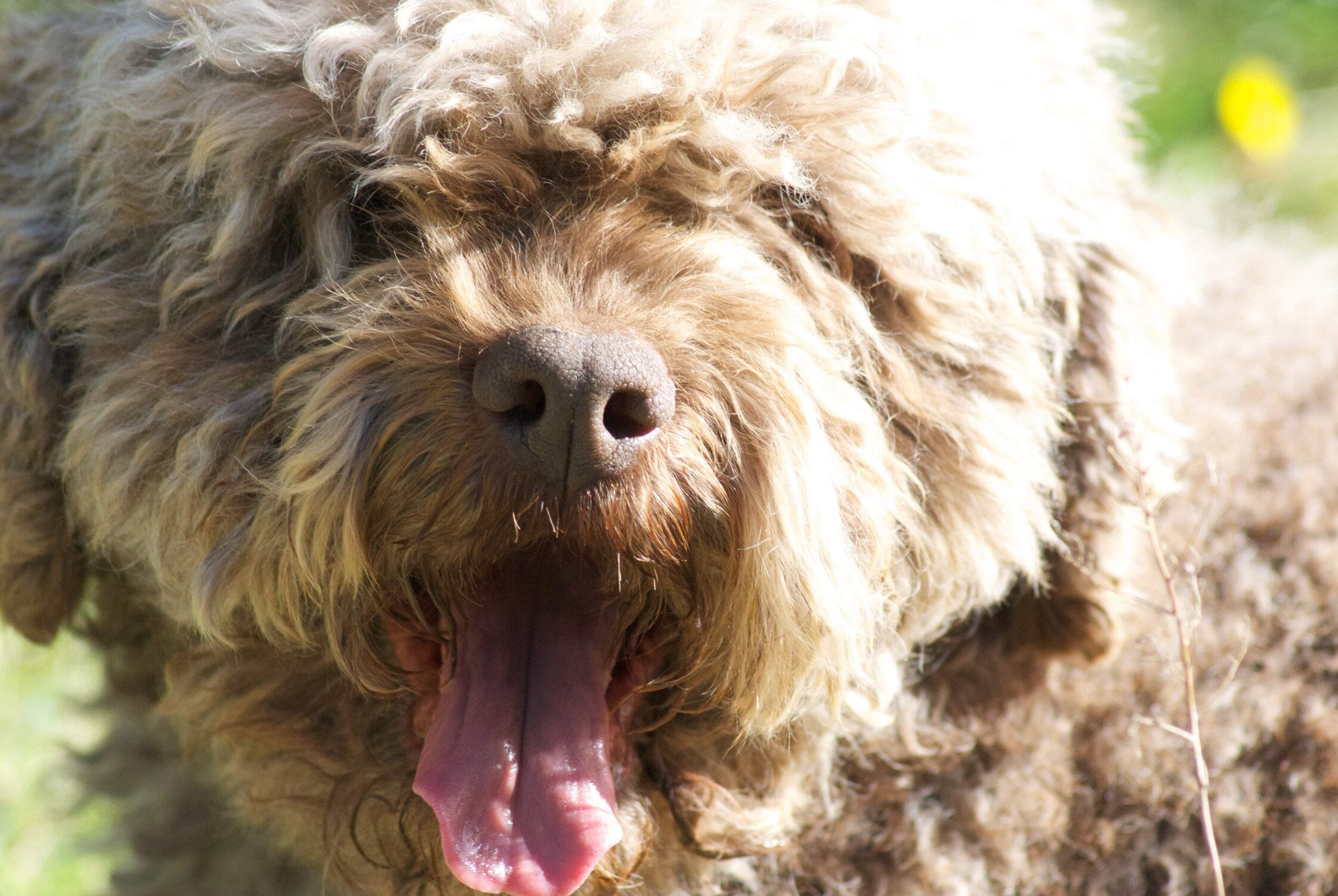 11576a68-21a6-4ebd-a575-8108aa4aa175 11576a68-21a6-4ebd-a575-8108aa4aa175