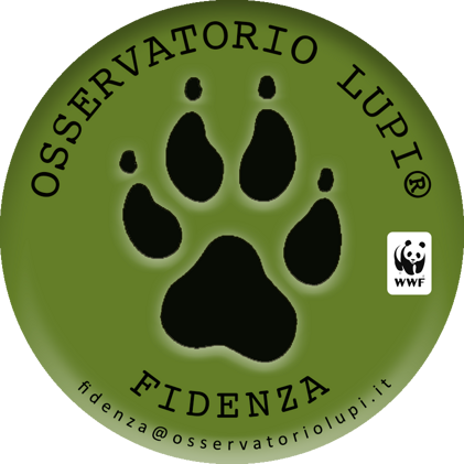 7116bd12-ab7e-4be3-b248-0c75b9462d7e