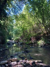 4de1ed2e-449e-43d5-8386-d2edb8497d93